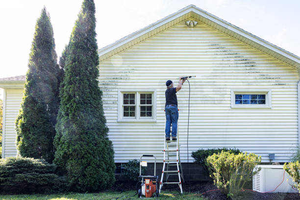 Best Sidewalk and Walkway Cleaning  in Wayne City, IL